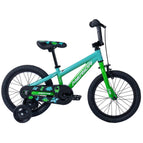 Green/Blue