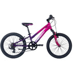 Pink/Purple