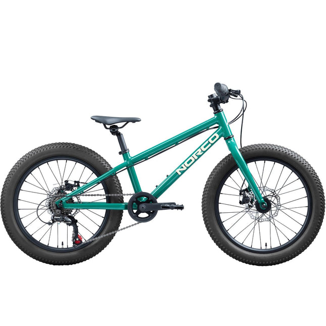 NORCO Storm 20 Disc Kids Mountain Bike