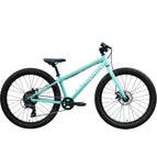 Turquoise / 24