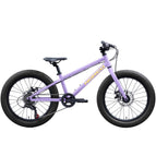 Purple / 20