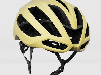 KASK Protone Icon Helmet