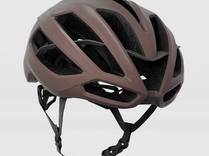 KASK Protone Icon Helmet