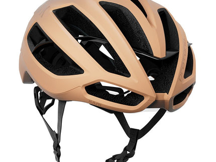KASK Protone Icon Helmet