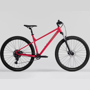 NORCO Storm 100